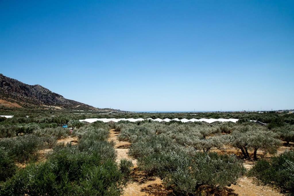 Appartamento Ierapetra Garden House Esterno foto